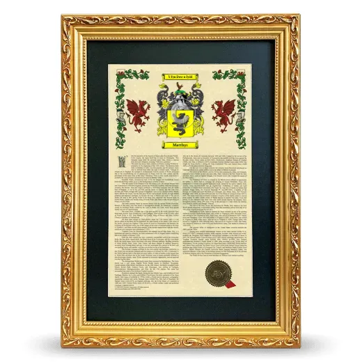 Matthys Deluxe Armorial Framed - Gold
