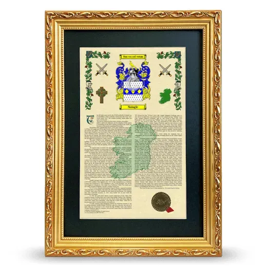 Naingle Deluxe Armorial Framed - Gold