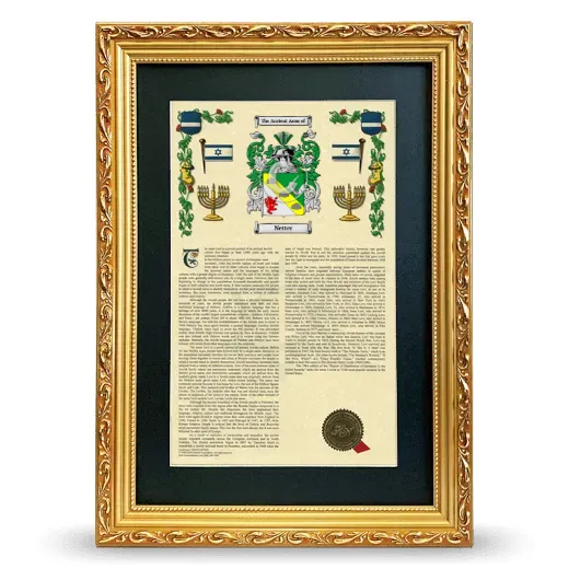 Netter Deluxe Armorial Framed - Gold