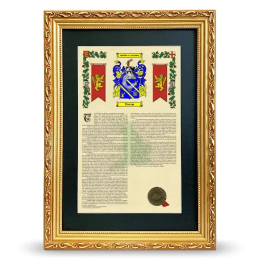 Peacop Deluxe Armorial Framed - Gold