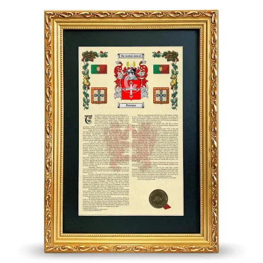 Pereyra Deluxe Armorial Framed - Gold