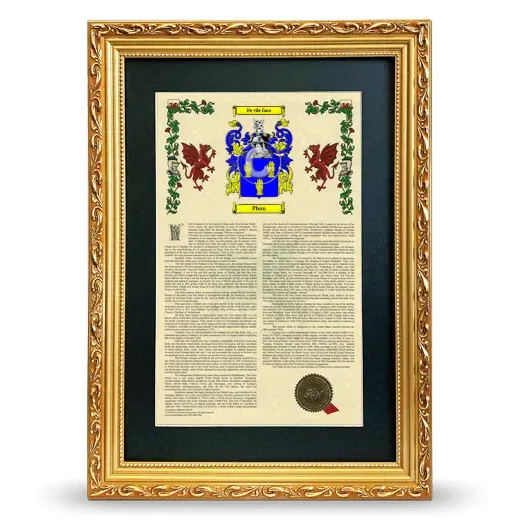Phun Deluxe Armorial Framed - Gold