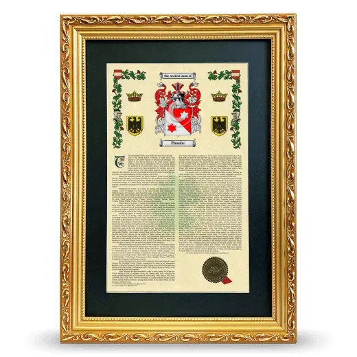 Plumbe Deluxe Armorial Framed - Gold