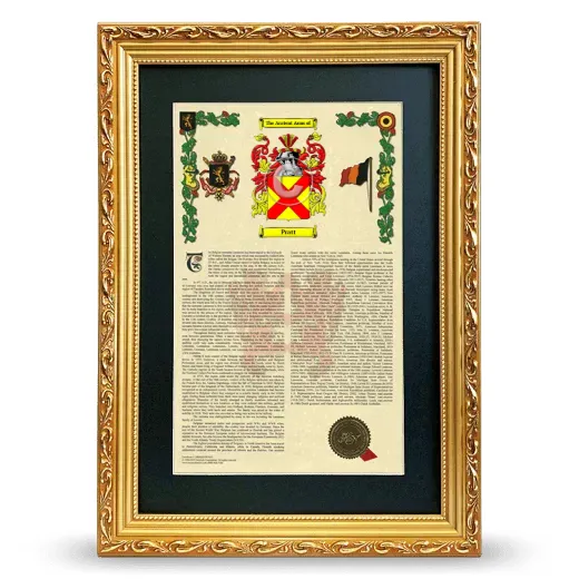 Pratt Deluxe Armorial Framed - Gold