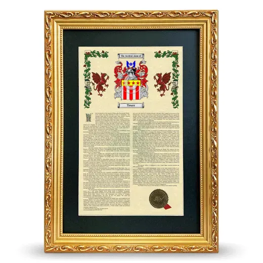 Tewer Deluxe Armorial Framed - Gold