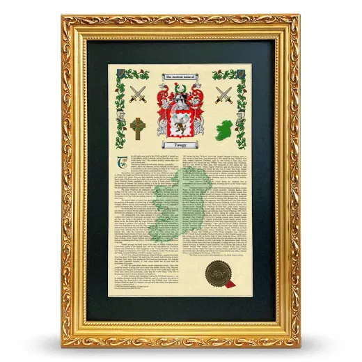 Towgy Deluxe Armorial Framed - Gold