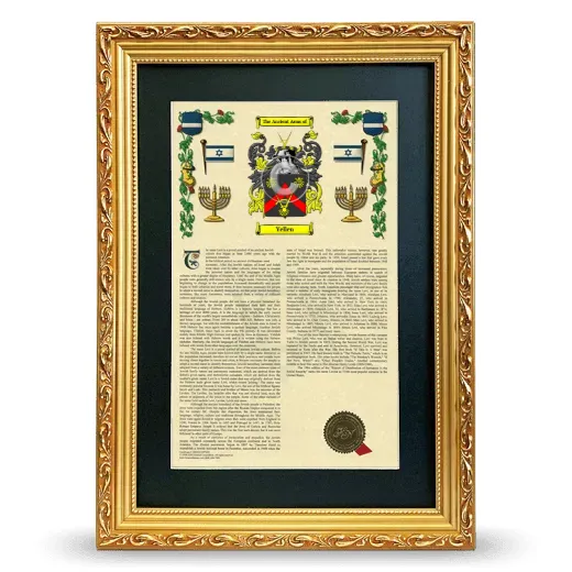 Yellen Deluxe Armorial Framed - Gold