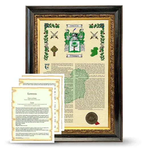 O'Flanagen Framed Armorial History and Symbolism - Heirloom