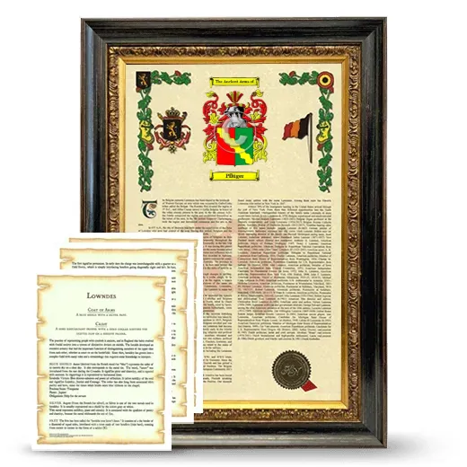 Pflüger Framed Armorial History and Symbolism - Heirloom