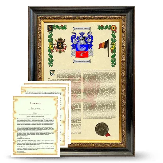 Troostenberghe Framed Armorial History and Symbolism - Heirloom