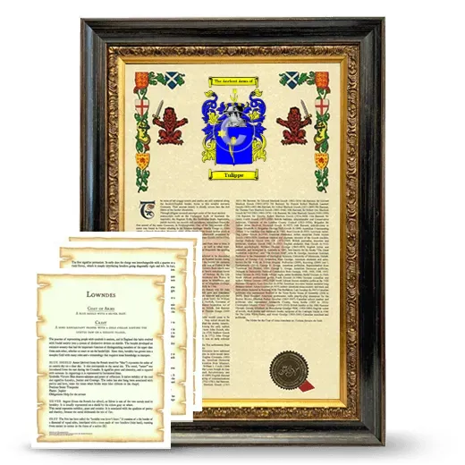 Tulippe Framed Armorial History and Symbolism - Heirloom