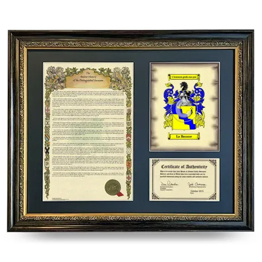 La Baume Framed Surname History and Coat of Arms- Heirloom