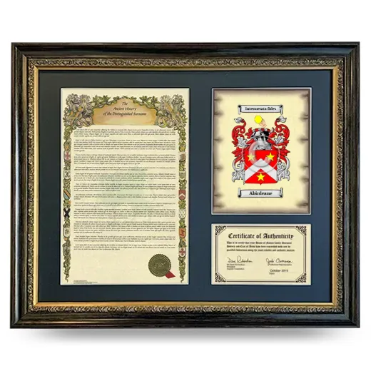 Abirdeane Framed Surname History and Coat of Arms- Heirloom