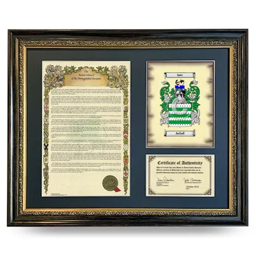 Achel Framed Surname History and Coat of Arms- Heirloom