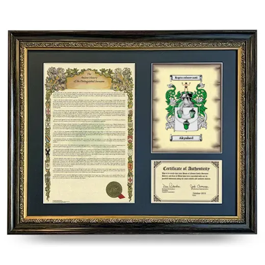 Akynhed Framed Surname History and Coat of Arms- Heirloom