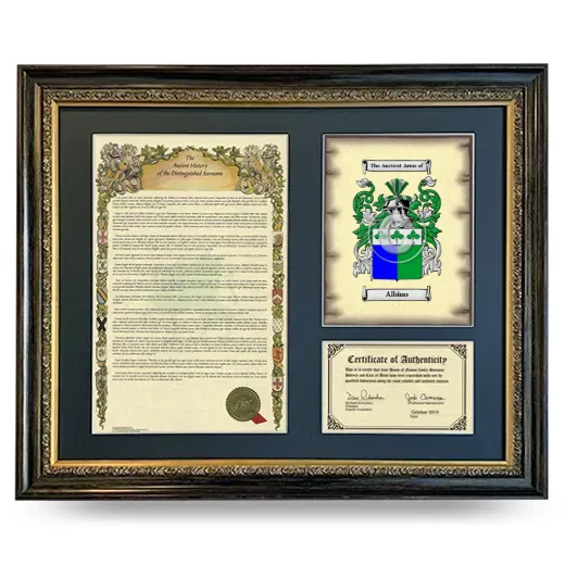 Albino Framed Surname History and Coat of Arms- Heirloom