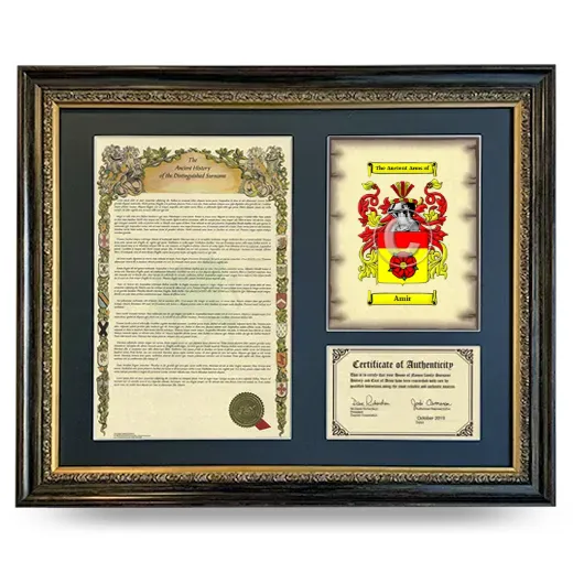 Amir Framed Surname History and Coat of Arms- Heirloom