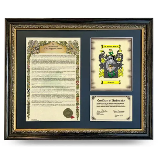 Ammer Framed Surname History and Coat of Arms- Heirloom