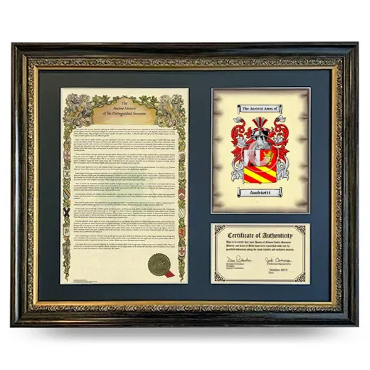Andrietti Framed Surname History and Coat of Arms- Heirloom