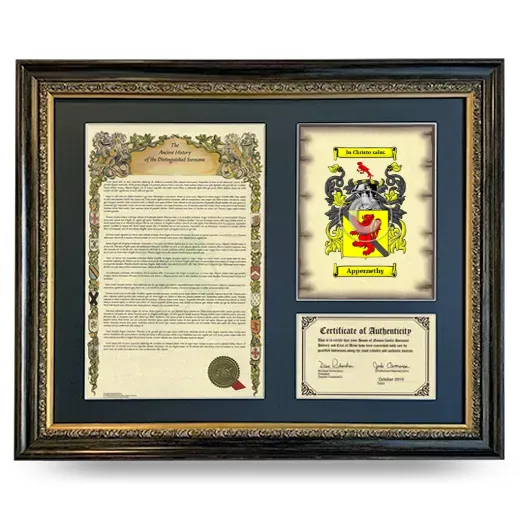 Appernethy Framed Surname History and Coat of Arms- Heirloom