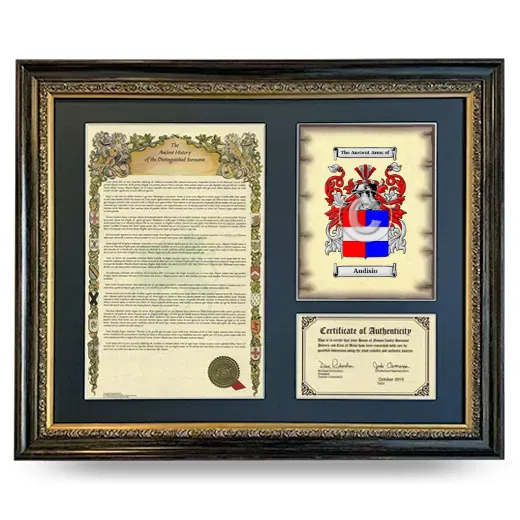 Audisio Framed Surname History and Coat of Arms- Heirloom