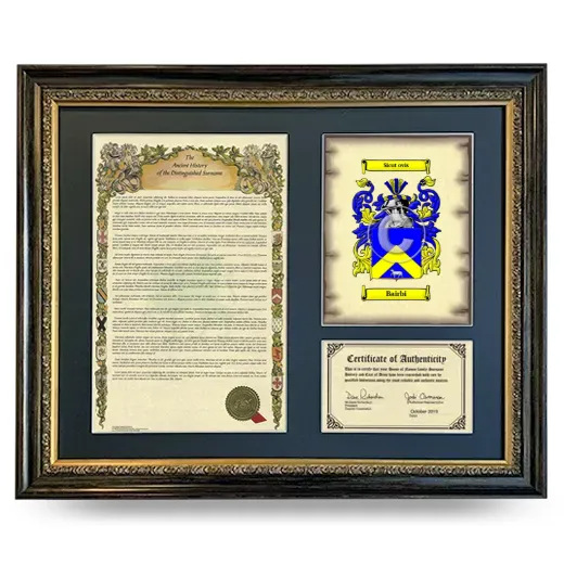 Bairbi Framed Surname History and Coat of Arms- Heirloom