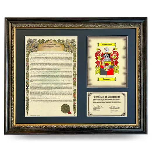 Bammer Framed Surname History and Coat of Arms- Heirloom