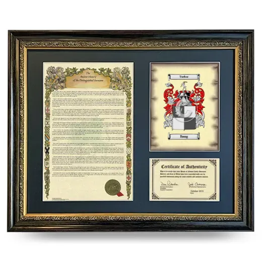 Bang Framed Surname History and Coat of Arms- Heirloom
