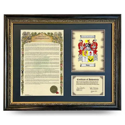 Bany Framed Surname History and Coat of Arms- Heirloom