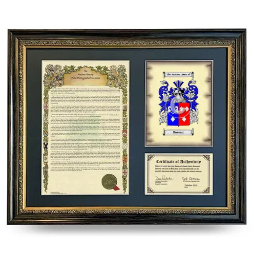 Barenz Framed Surname History and Coat of Arms- Heirloom