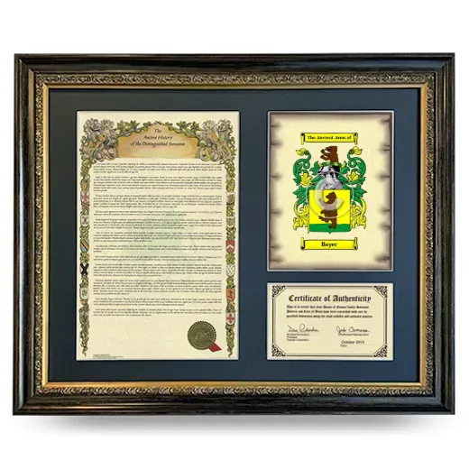 Bayer Framed Surname History and Coat of Arms- Heirloom