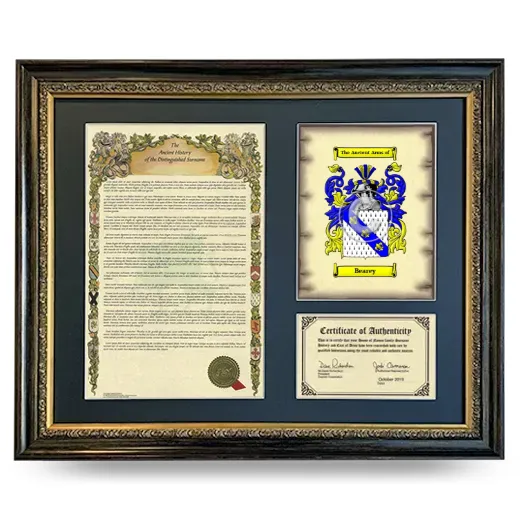 Bearey Framed Surname History and Coat of Arms- Heirloom