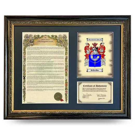 Bellevilles Framed Surname History and Coat of Arms- Heirloom