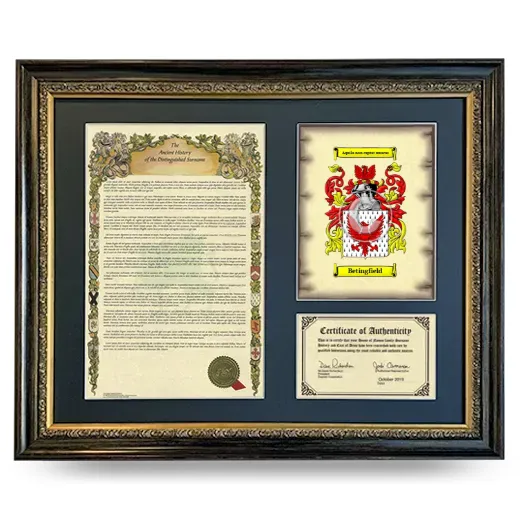 Betingfield Framed Surname History and Coat of Arms- Heirloom