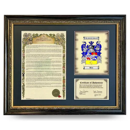 Bien Framed Surname History and Coat of Arms- Heirloom