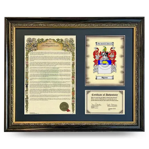 Bigeau Framed Surname History and Coat of Arms- Heirloom