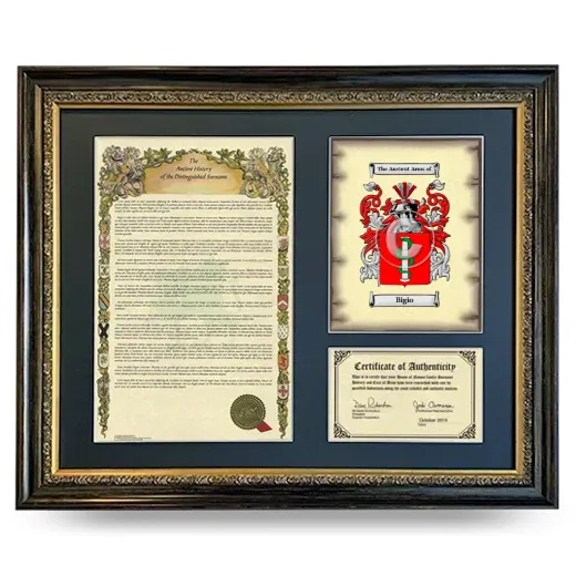 Bigio Framed Surname History and Coat of Arms- Heirloom