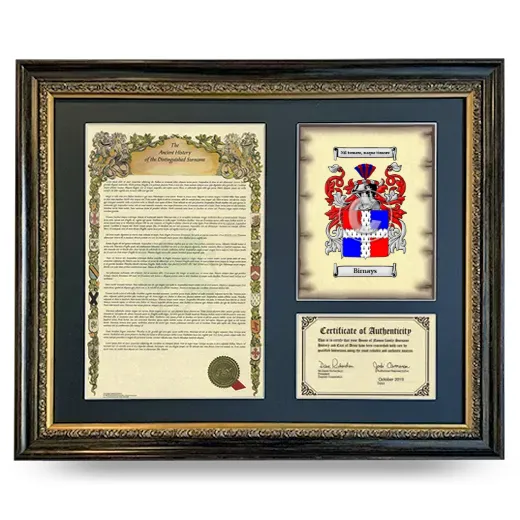 Birnays Framed Surname History and Coat of Arms- Heirloom