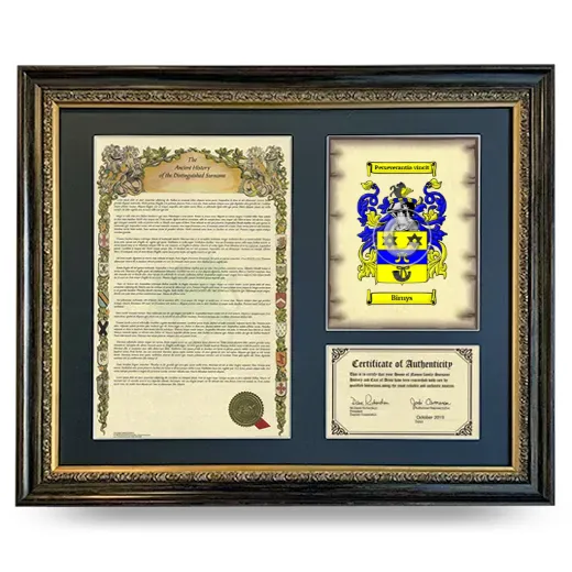Birnys Framed Surname History and Coat of Arms- Heirloom