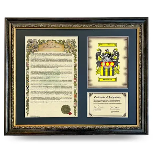 Blacehale Framed Surname History and Coat of Arms- Heirloom