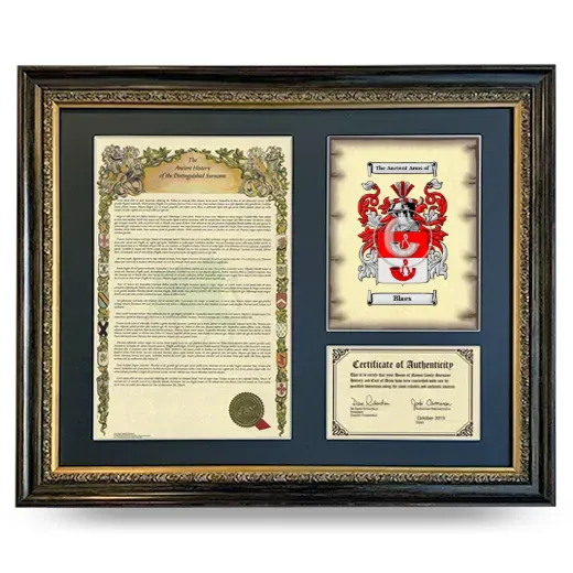 Blaes Framed Surname History and Coat of Arms- Heirloom