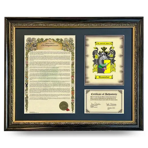Blumenthal Framed Surname History and Coat of Arms- Heirloom
