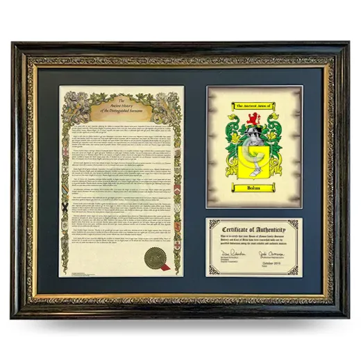 Bohm Framed Surname History and Coat of Arms- Heirloom