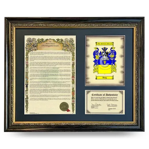 Borg Framed Surname History and Coat of Arms- Heirloom
