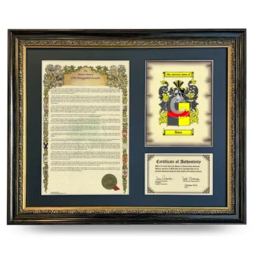 Born Framed Surname History and Coat of Arms- Heirloom