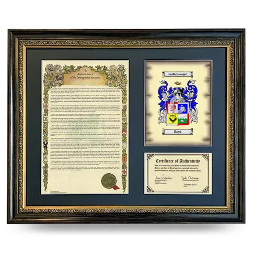 Boye Framed Surname History and Coat of Arms- Heirloom