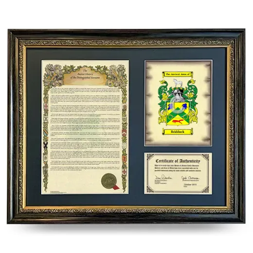 Briddock Framed Surname History and Coat of Arms- Heirloom