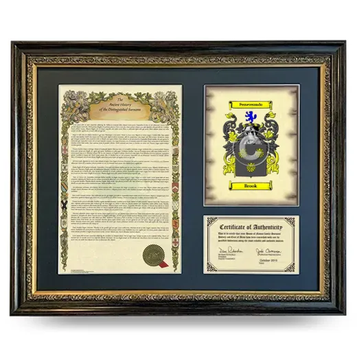 Brook Framed Surname History and Coat of Arms- Heirloom