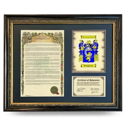 Brueggeman Framed Surname History and Coat of Arms- Heirloom