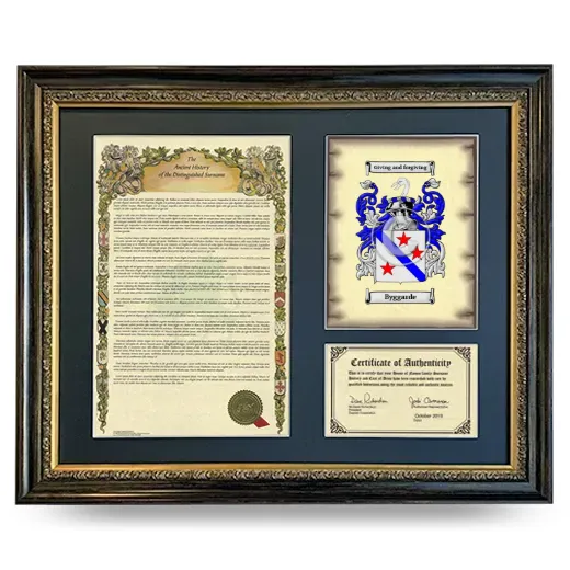 Byggarde Framed Surname History and Coat of Arms- Heirloom